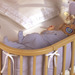 Babybay mod.